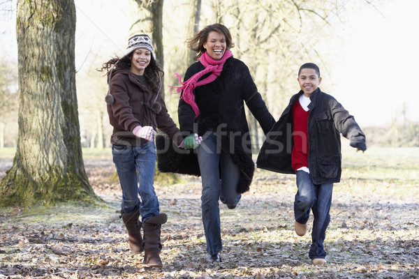 Stockfoto: Moeder · kinderen · najaar · lopen · gelukkig · winter