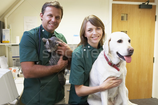 Personnel chien chat chirurgie sourire homme Photo stock © monkey_business