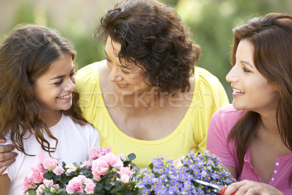 Senior Woman With Adult Daughter And Granddaughter Gardening Tog Stock photo © monkey_business
