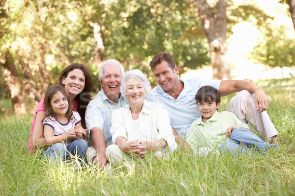 Portrait Of Extended Family Group In Park Stock photo © monkey_business