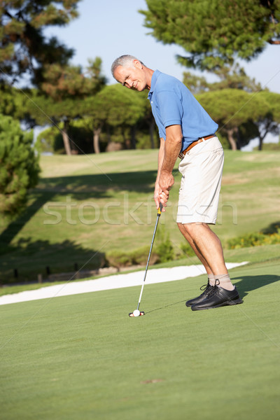 Stok fotoğraf: Kıdemli · erkek · golfçü · golf · sahası · yeşil · adam