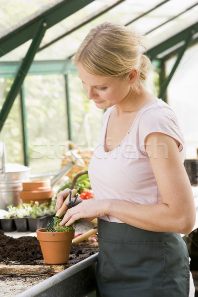 Woman in greenhouse raking soil in pot smiling Stock photo © monkey_business
