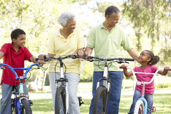 Nagyszülők park unokák lovaglás biciklik mosoly Stock fotó © monkey_business