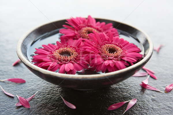 Flower heads in bowl of water Stock photo © monkey_business