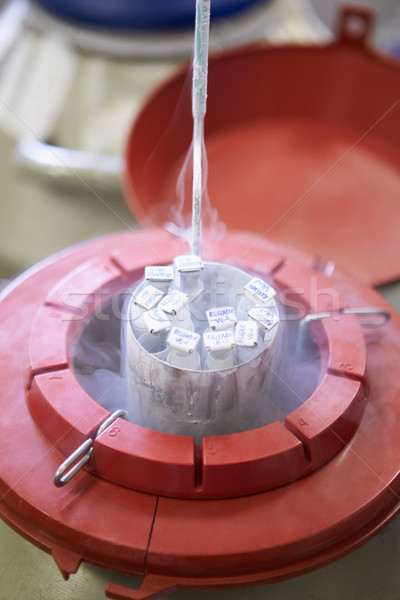 Fagyott raktár sperma bank orvosi kórház Stock fotó © monkey_business