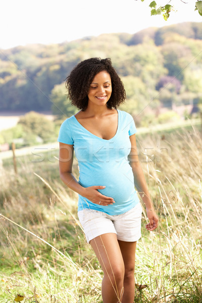 Femme enceinte extérieur campagne femme bébé enceintes [[stock_photo]] © monkey_business