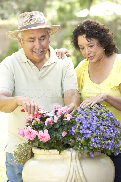 Senior Couple Gardening Together Stock photo © monkey_business