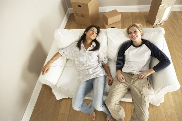 Stock photo: Overhead View Of Friends Moving Into New House