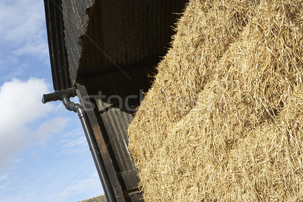 Hay Bales Stored In Barn Stock photo © monkey_business