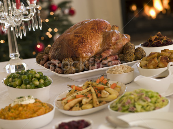 Christmas Turkije alle voedsel haard maaltijd Stockfoto © monkey_business