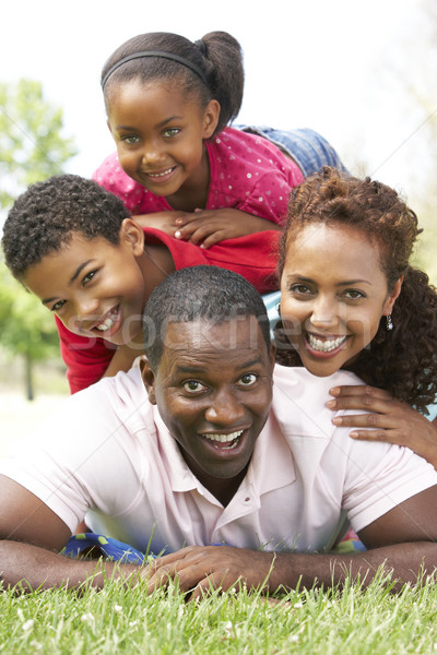 Foto d'archivio: Famiglia · giorno · parco · bambini · erba