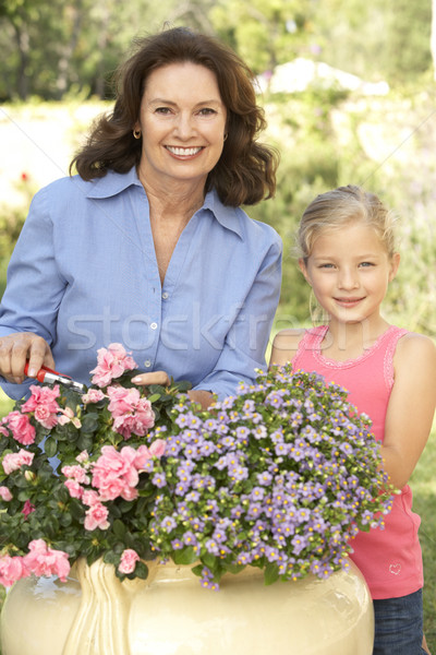 Grand-mère petite fille jardinage ensemble heureux enfant [[stock_photo]] © monkey_business