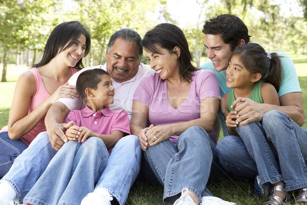 Portrait Of Extended Family Group In Park Stock photo © monkey_business