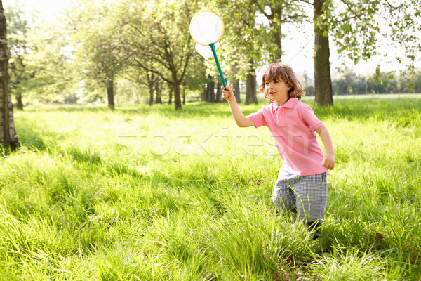 [[stock_photo]]: Domaine · insecte · net · été · souriant