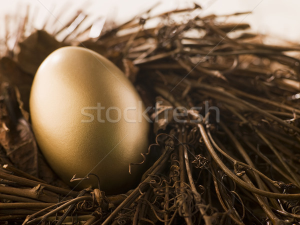 Gouden nest ei financieren goud kleur Stockfoto © monkey_business