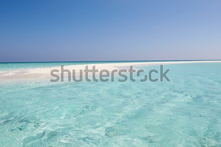 Beautiful Deserted Beach Stock photo © monkey_business