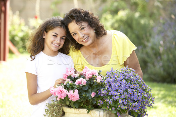 Grandmother And Granddaughter Gardening Together Stock photo © monkey_business