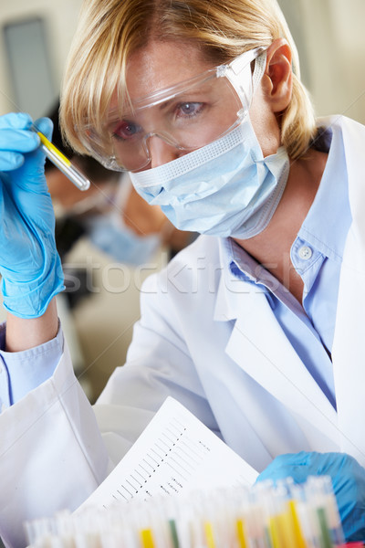 Stock photo: Female Scientist Studying Test Tube In Laboratory