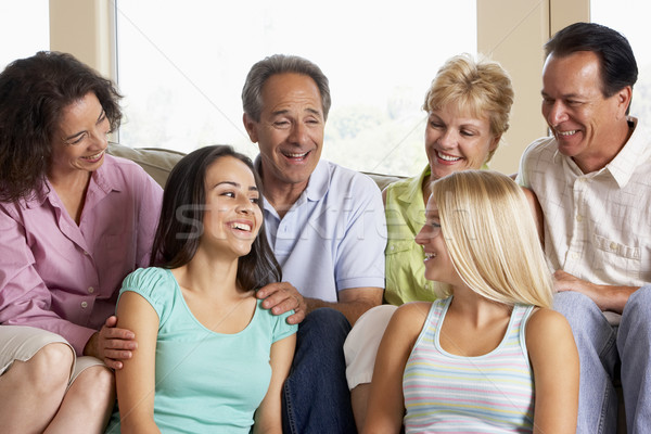 [[stock_photo]]: Deux · familles · ensemble · famille · maison · amis