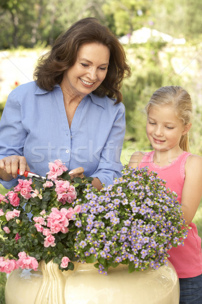 Grand-mère petite fille jardinage ensemble heureux enfant [[stock_photo]] © monkey_business