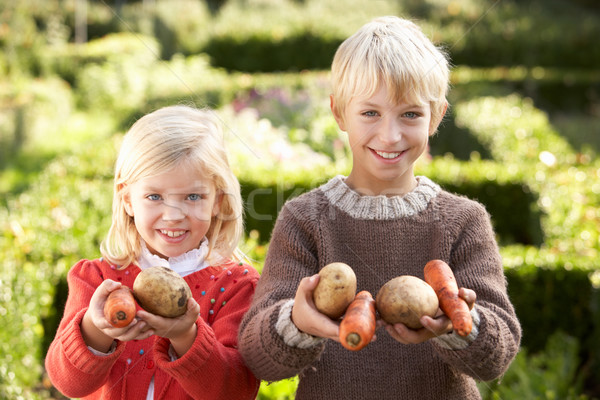Tineri copii grădină pune legume băiat Imagine de stoc © monkey_business