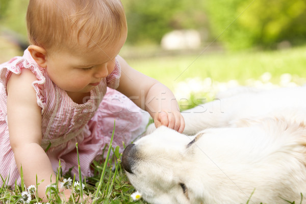 Foto stock: Verano · vestido · sesión · campo · familia