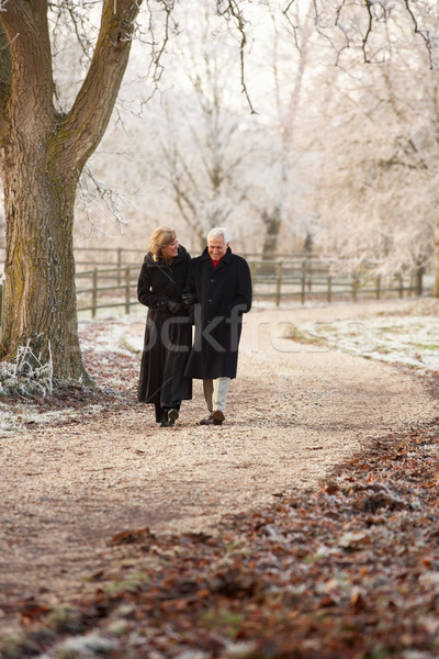 Idős pár tél séta fagyos tájkép férfi Stock fotó © monkey_business