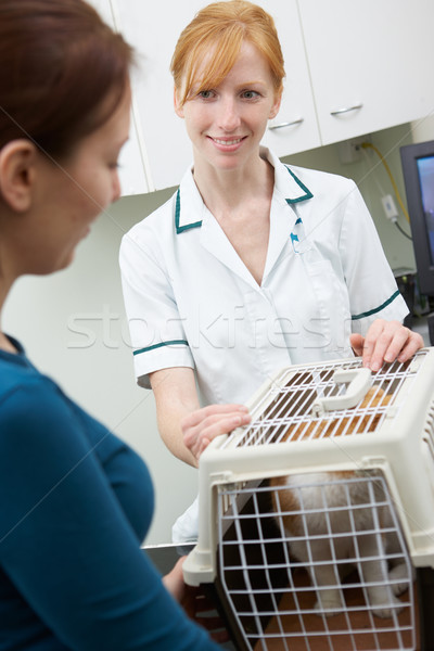 Owner Taking Cat To Vets In Carrier Stock photo © monkey_business