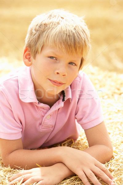 Portrait Of Boy Laying In Summer Harvested Field Stock photo © monkey_business