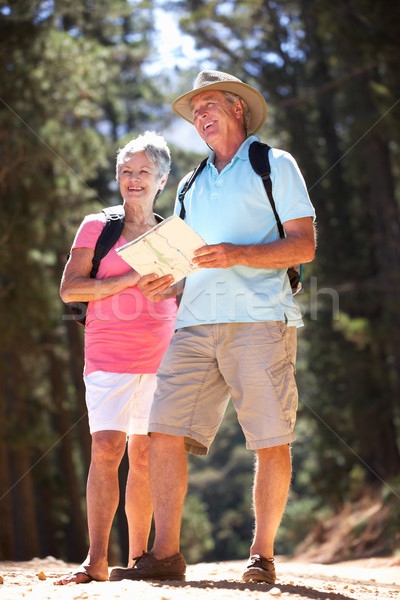 Senior couple reading map on country walk Stock photo © monkey_business