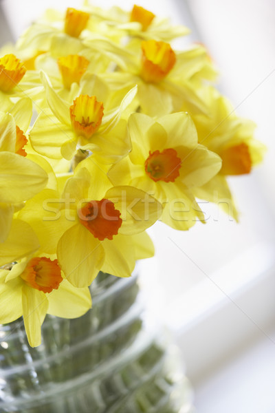 Bouquet Narzissen Frühling Natur Gruppe Narzisse Stock foto © monkey_business