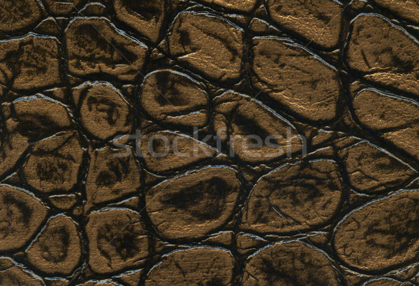 gold and black crocodile leathet texture Stock photo © montego