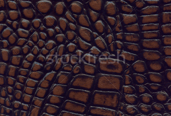 brown and black crocodile leather texture Stock photo © montego