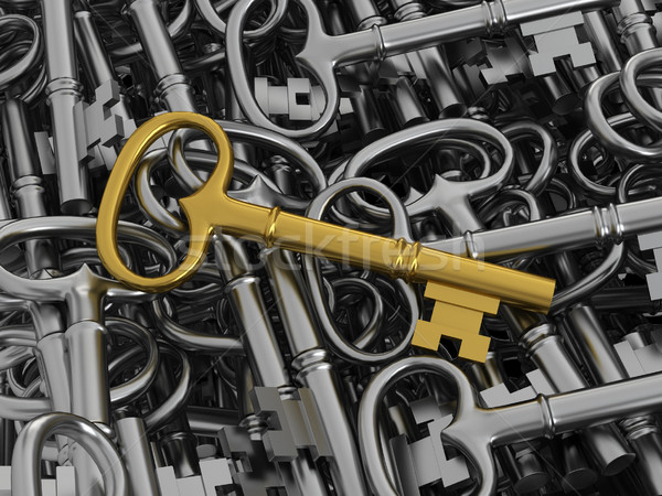 Unique golden key Stock photo © montego