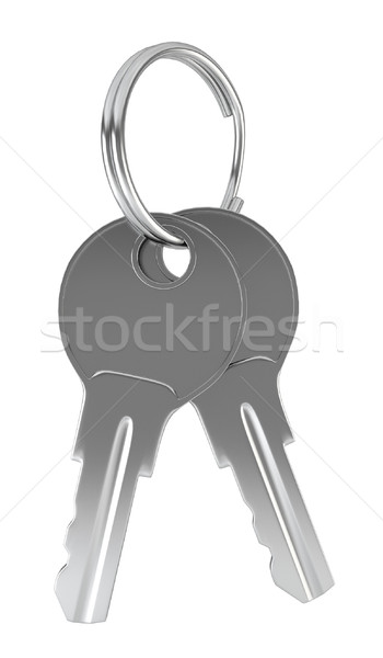 Zwei Schlüssel Ring 3D-Darstellung weiß Business Stock foto © montego
