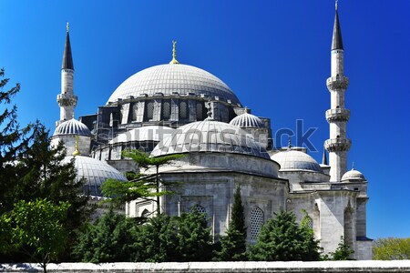 Sultan Ahmed Mosque or Blue Mosque in Istanbul, Turkey Stock photo © monticelllo