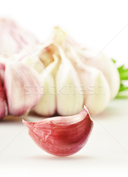 świeże czosnku pietruszka odizolowany biały żywności Zdjęcia stock © monticelllo