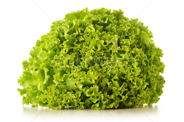 Green leaves lettuce isolated on white background  Stock photo © monticelllo