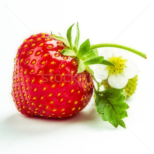 Erdbeeren Stock photo © Moradoheath