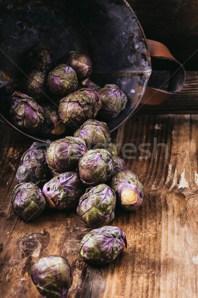 Violet sprouts Stock photo © Moradoheath