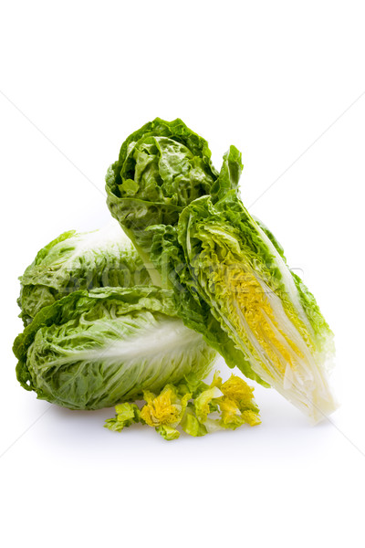 商业照片: 生菜    心    孤立    白    背景 / lettuce hearts