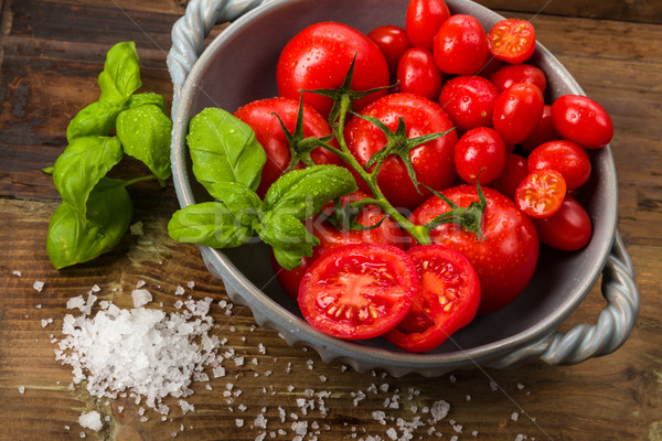 świeże pomidory puchar bazylia soli studio Zdjęcia stock © Moradoheath