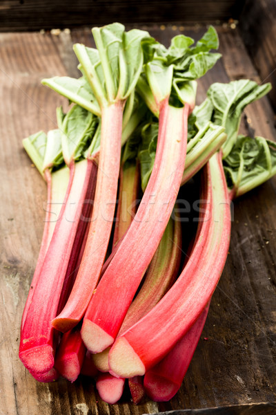 Rhubarbe bois métro fruits santé blanche [[stock_photo]] © Moradoheath