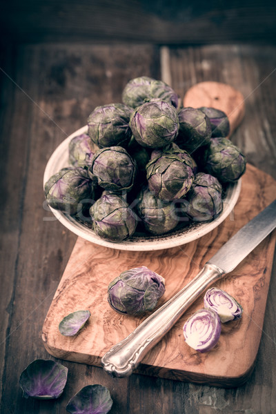 Violet sprouts Stock photo © Moradoheath