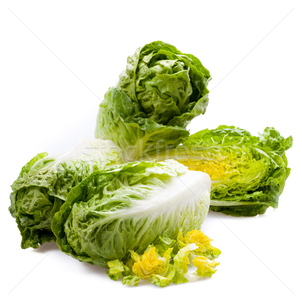 lettuceson图片