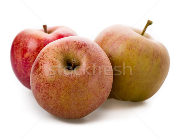 Pomme variété isolé blanche fruits rouge [[stock_photo]] © Moradoheath