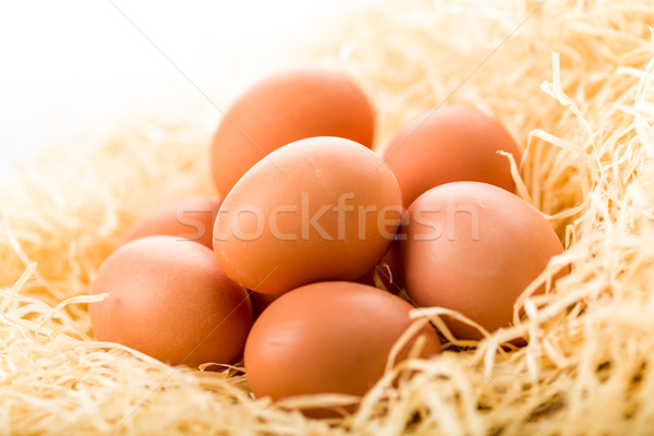 Eggs Stock photo © Moradoheath