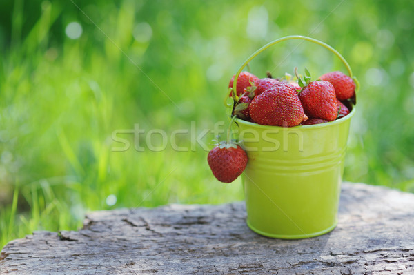 A pail full of freshly picked strawberries Stock photo © Moravska