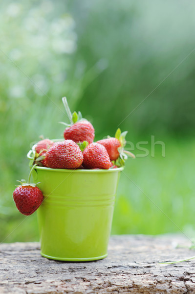 Stock photo: A pail full of freshly picked strawberries