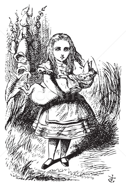 Alice and the pig baby - Alice's Adventures in Wonderland origin Stock photo © Morphart